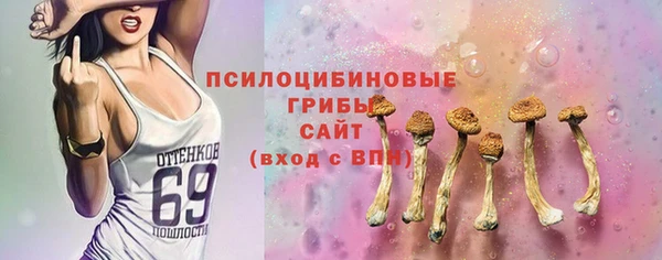 меф Медвежьегорск