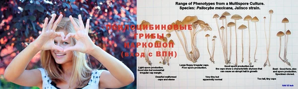 прущая мука Медногорск