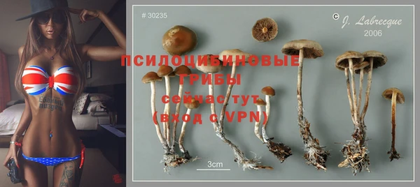 прущая мука Медногорск