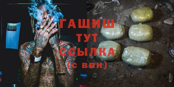 тгк Ельня