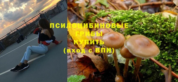 прущая мука Медногорск