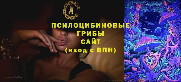 гашик Михайлов