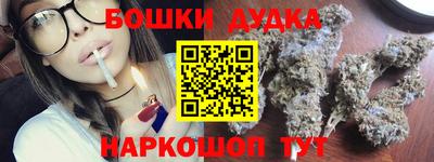 apvp Гатчина