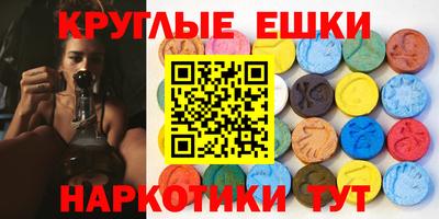 apvp Гатчина