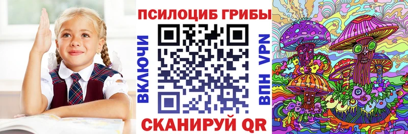 Псилоцибиновые грибы мицелий  что такое   Миллерово 