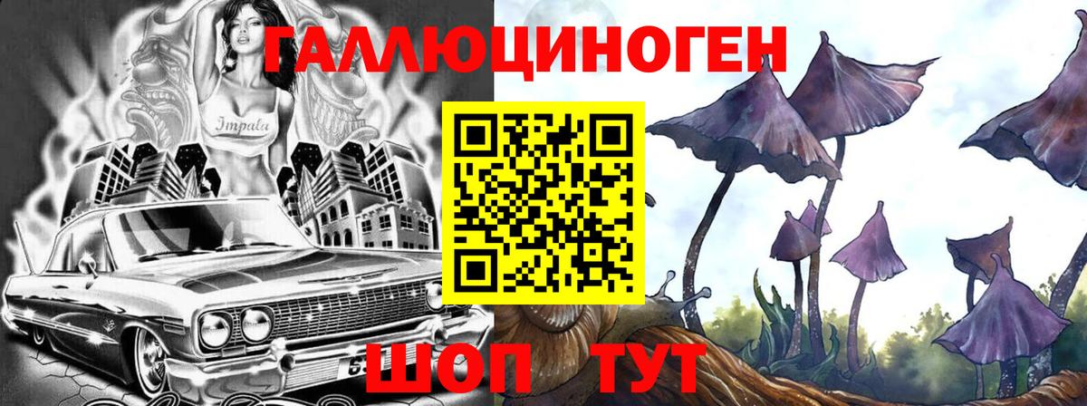 Галлюциногенные грибы мухоморы Миллерово