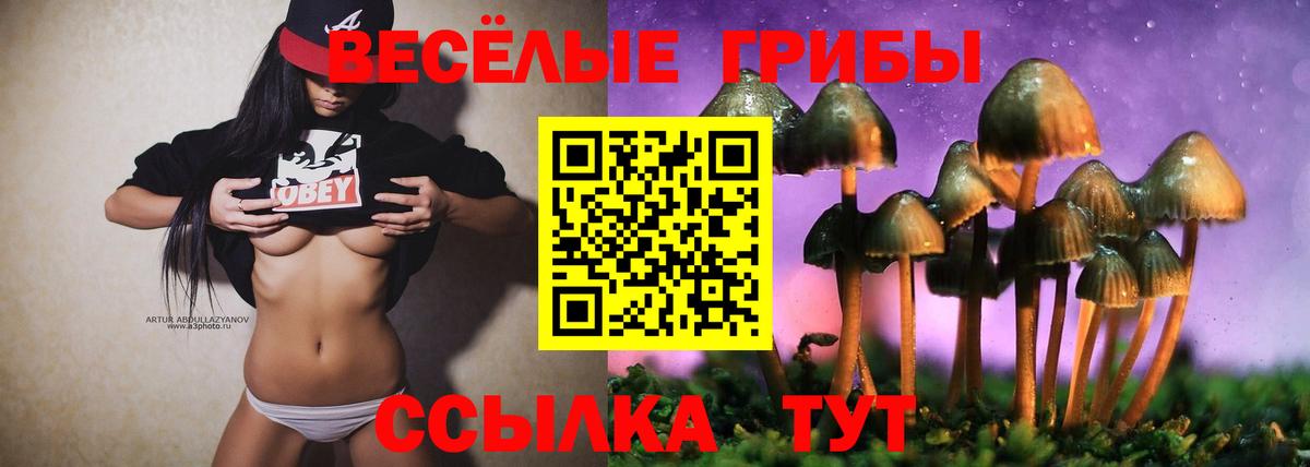 Галлюциногенные грибы мицелий  Галлюциногенные грибы мицелий  Миллерово 